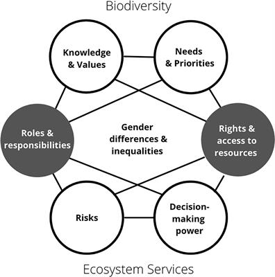 Applying a gender lens to biodiversity conservation in High Asia